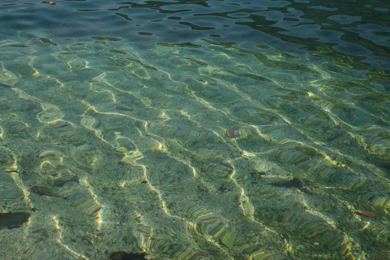 Апартаменты Apartment close to sea with a great view of sea Тиват