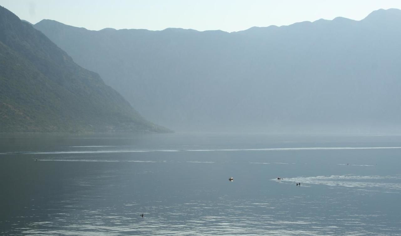 Апартаменты Apartment close to sea with a great view of sea Тиват