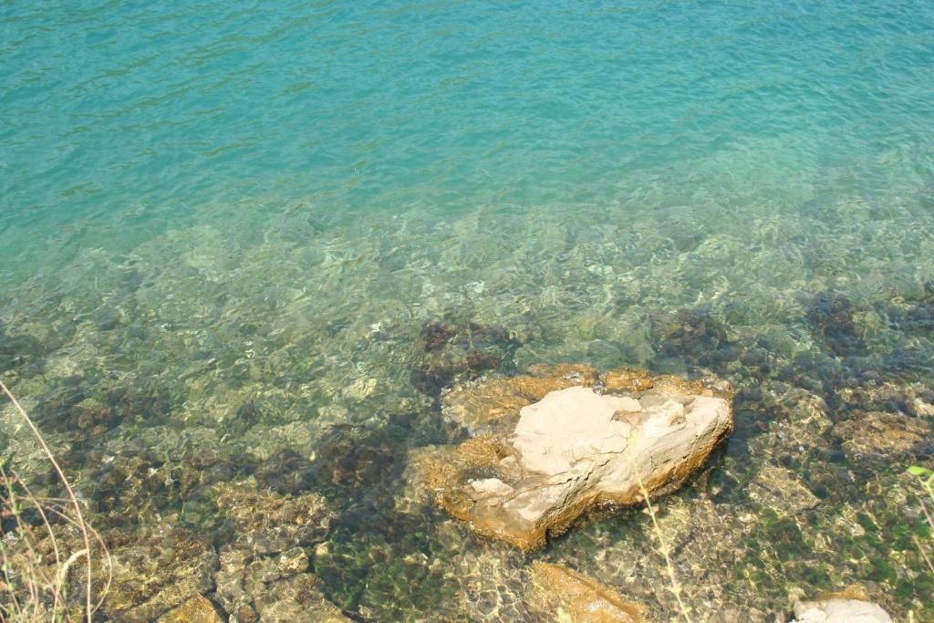 Апартаменты Apartment close to sea with a great view of sea Тиват-67