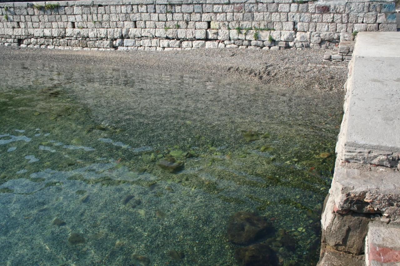 Апартаменты Apartment close to sea with a great view of sea Тиват