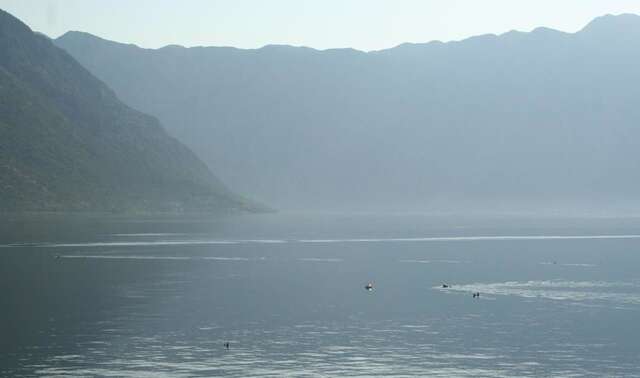 Апартаменты Apartment close to sea with a great view of sea Тиват-5